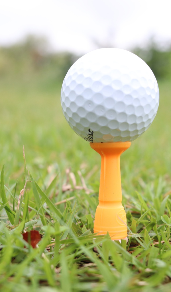Мячик для гольфа на поле с зеленой травой 