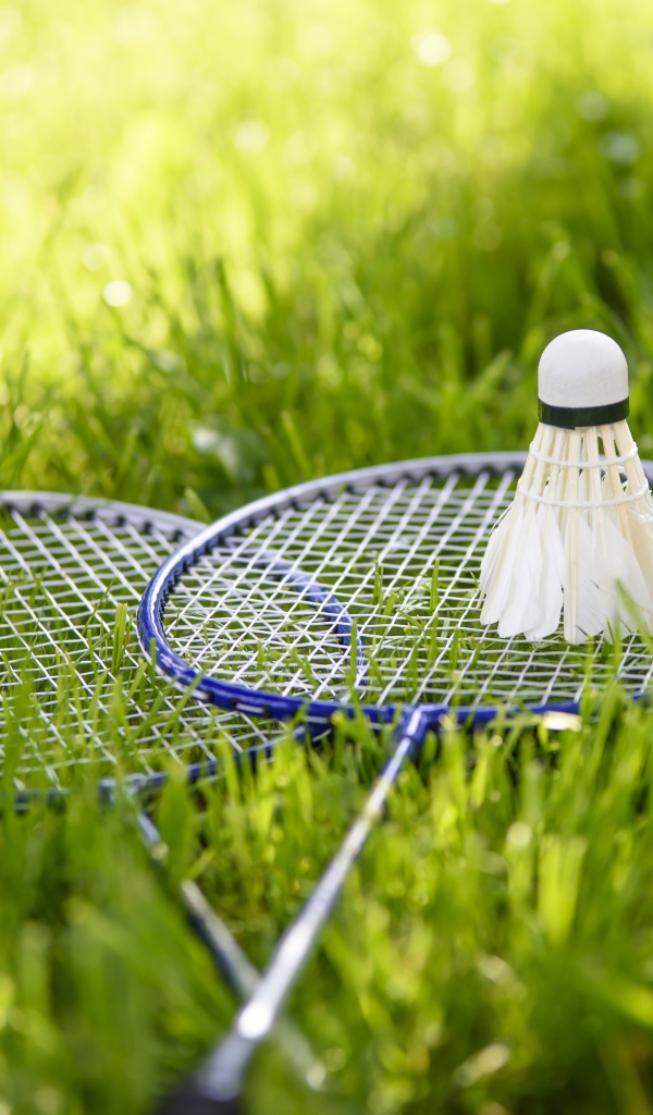 Воланчик и ракетки для игры в бадминтон на зеленой траве