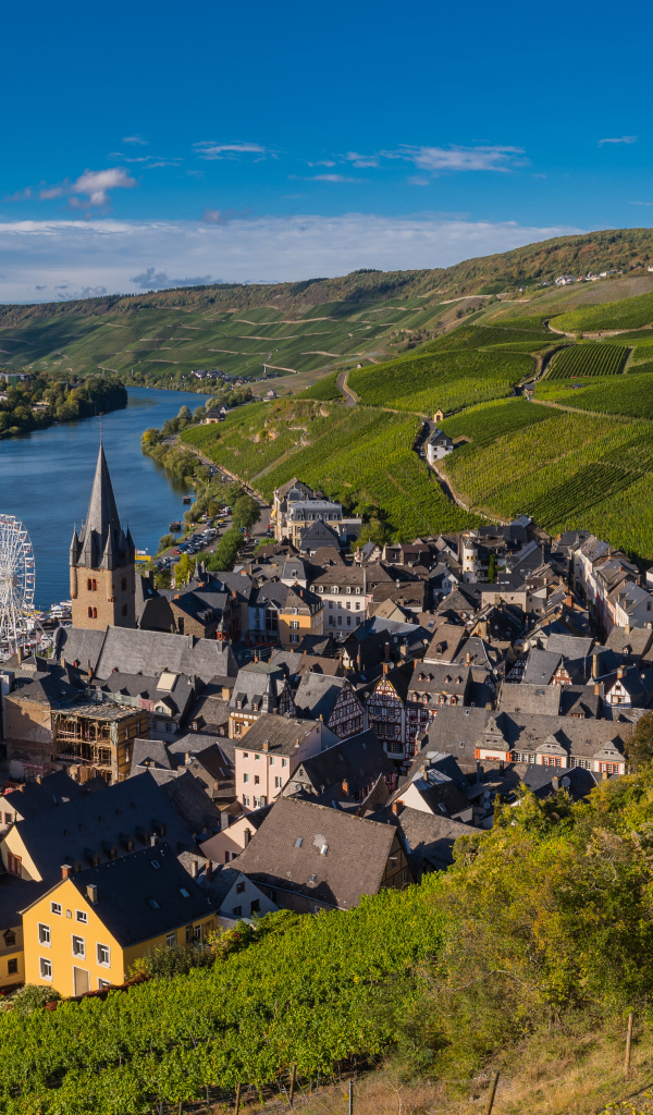Вид город, реку и виноградник. Германия 