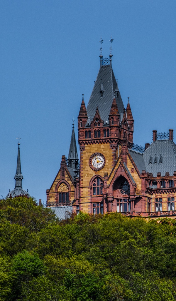 Замок Драхенбург в зарослях деревьев под голубым небом