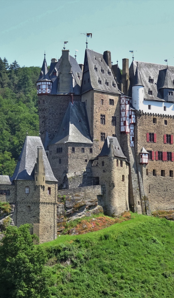 Старинный замок Рейнланд-Пфальц в лесу, Германия