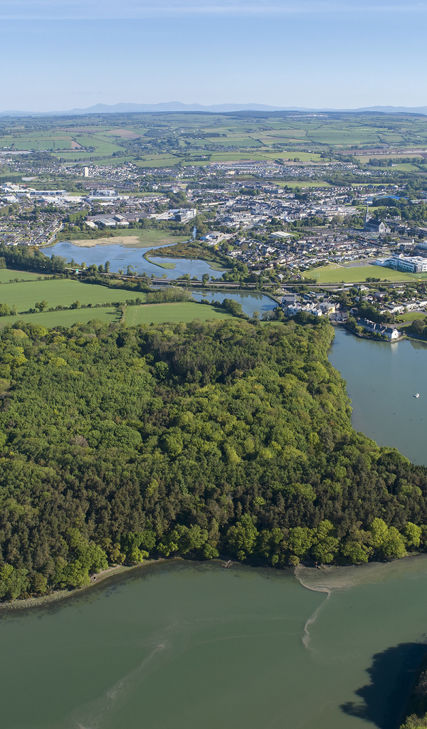 Вид на город и реку у леса с высоты, Исландия