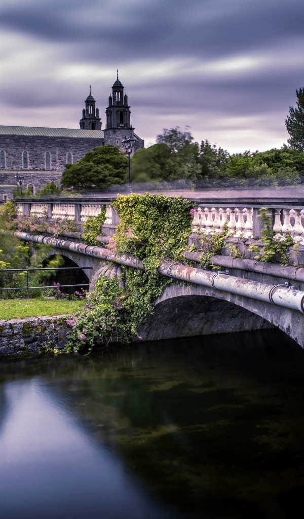 Старинный мост через реку ведет к собору, Ирландия