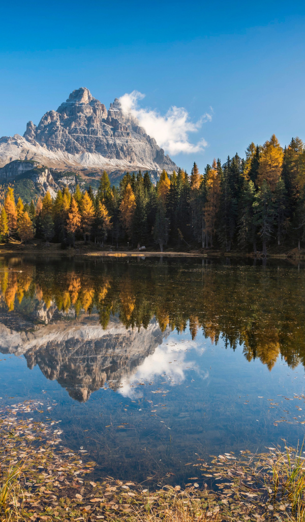 Гора и лес отражаются в воде озера, Италия