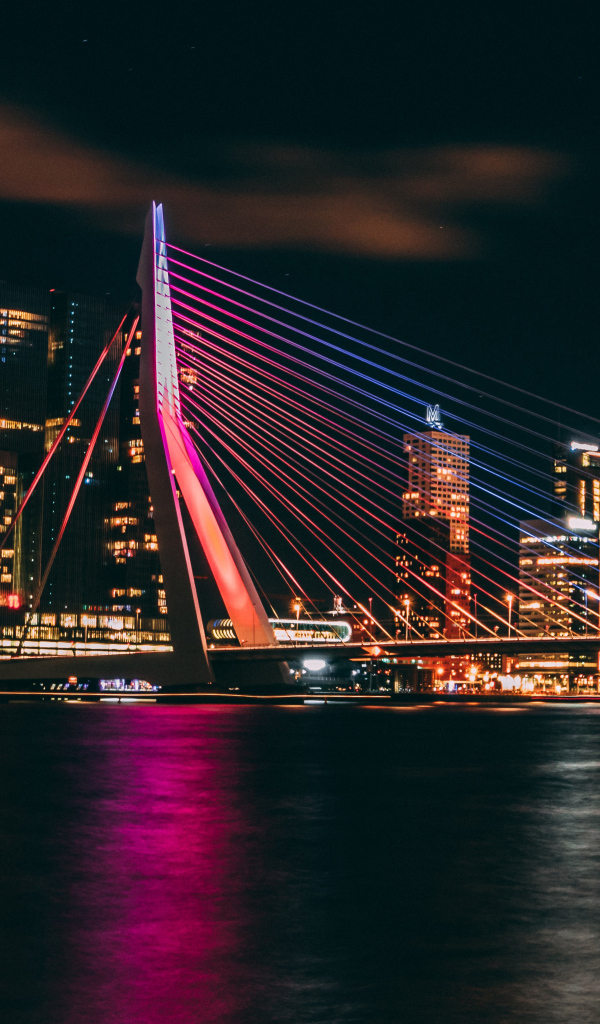 Мост Эразма Роттердам на фоне мегаполиса. Нидерланды