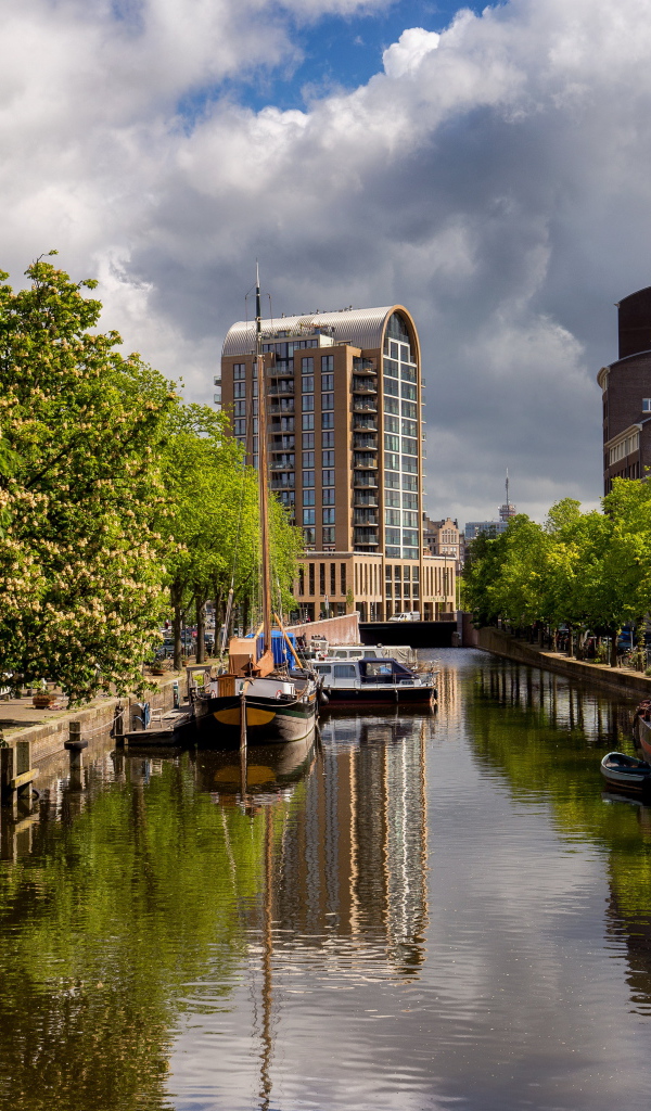 Водный канал в городе с цветущими каштанами, Нидерланды 