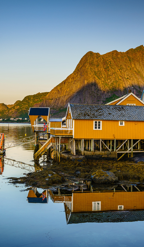 Деревья на сваях на острове Лофотен у гор, Норвегия 