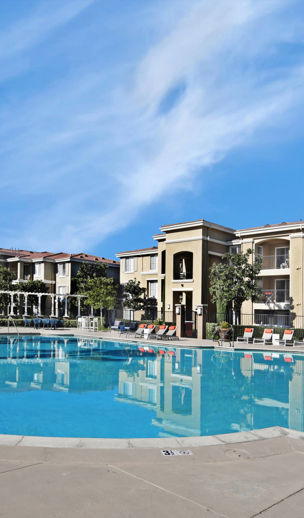 Большой бассейн в курортном отеле, США