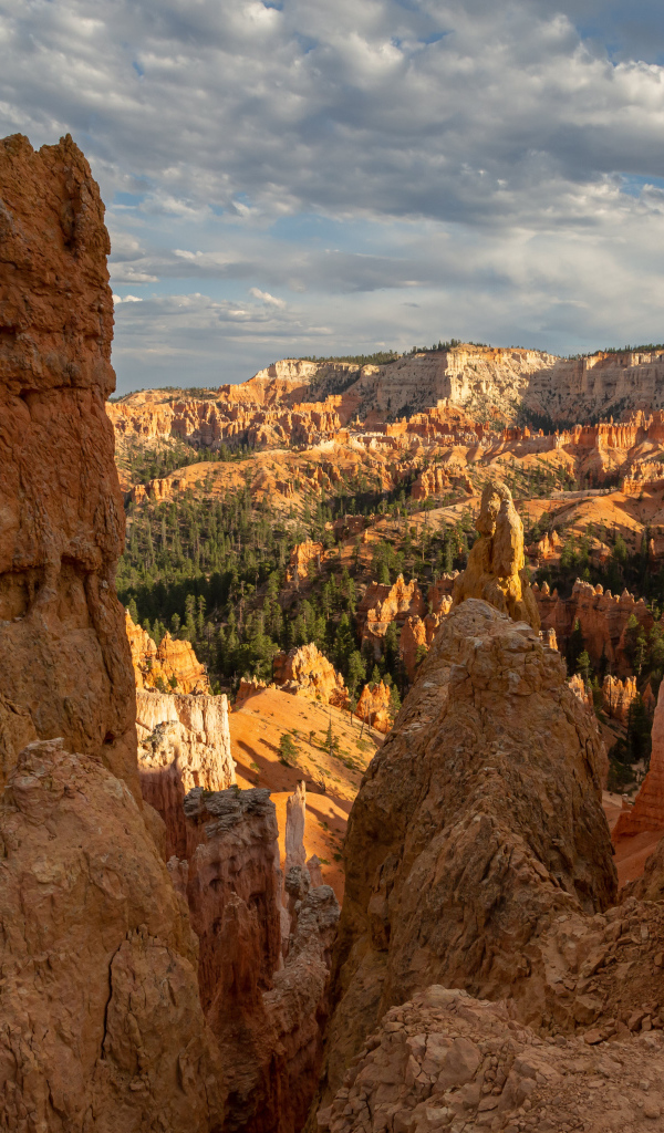 Вид на живописный Брайс-Каньон, США