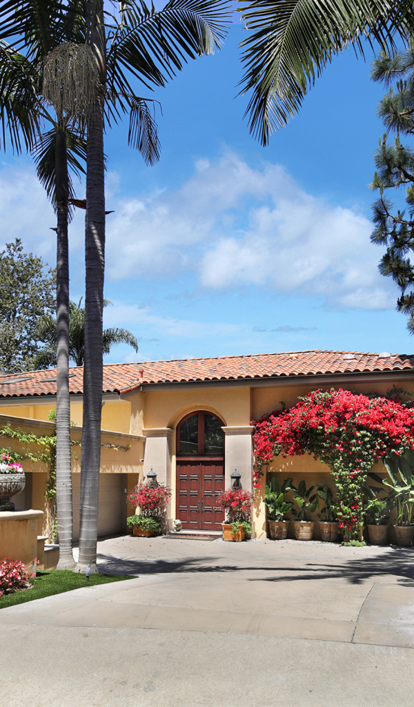 Дом на улице с цветущими кустами и пальмами