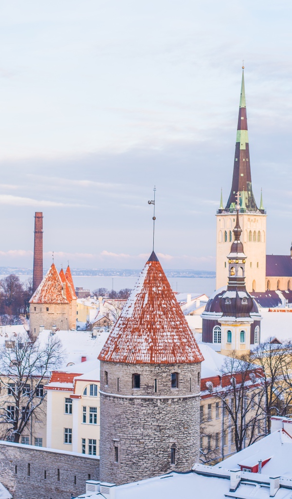 Вид на зимний город Таллин. Эстония 