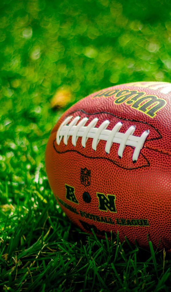 American football ball lies on green grass