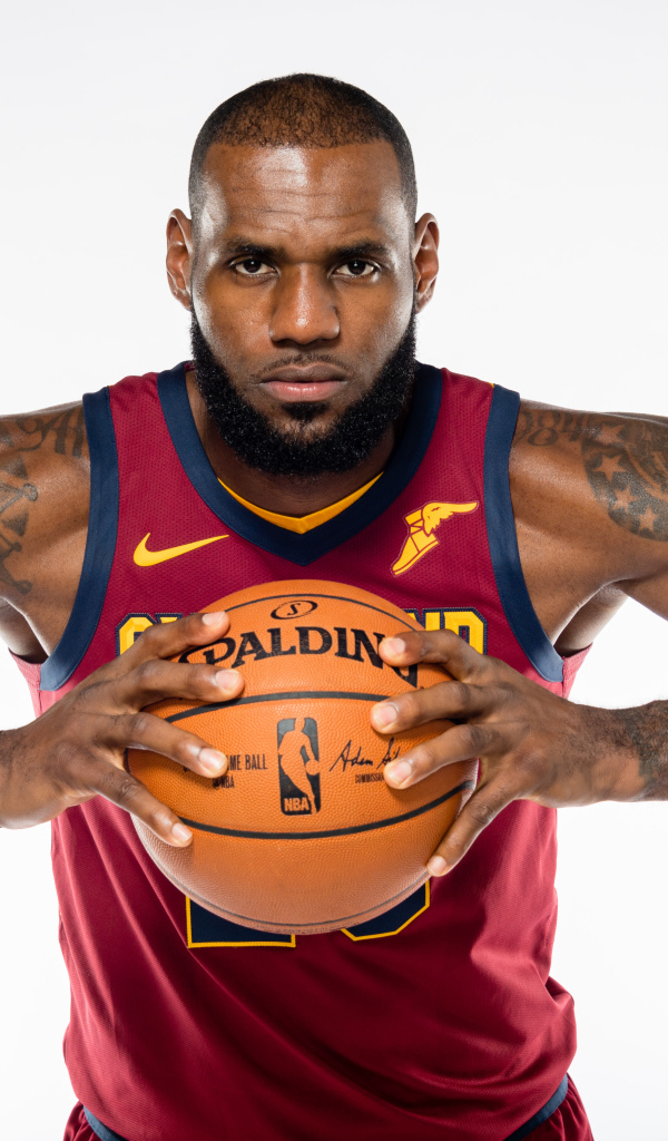 Баскетболист Леброн Джеймс с мячом в руках на сером фоне