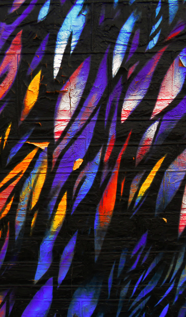 Рисунок перья на стене крупным планом