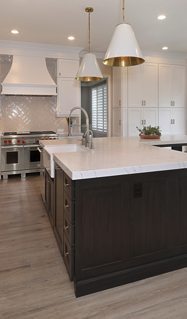 Кухня с большим холодильником с выходом в сад 