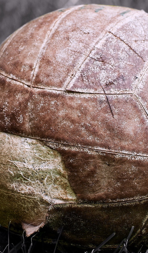 Старый мяч лежит на поле