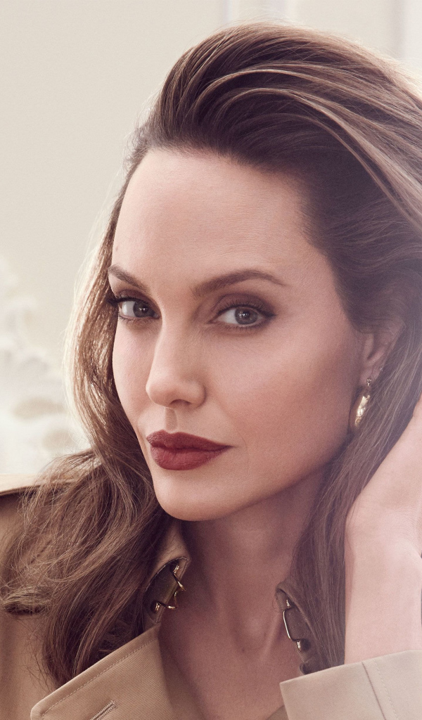 Стильная женщина, популярная актриса Анджелина Джоли