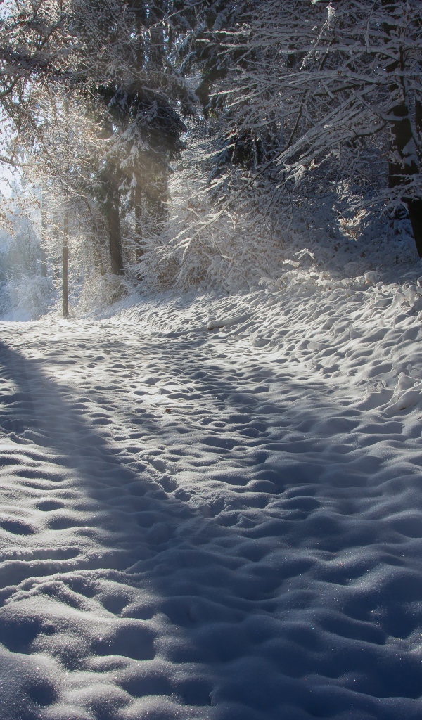 Лучи солнца освещают заснеженную дорогу 