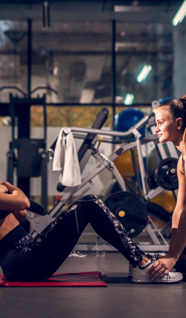 Two girls are engaged in the gym