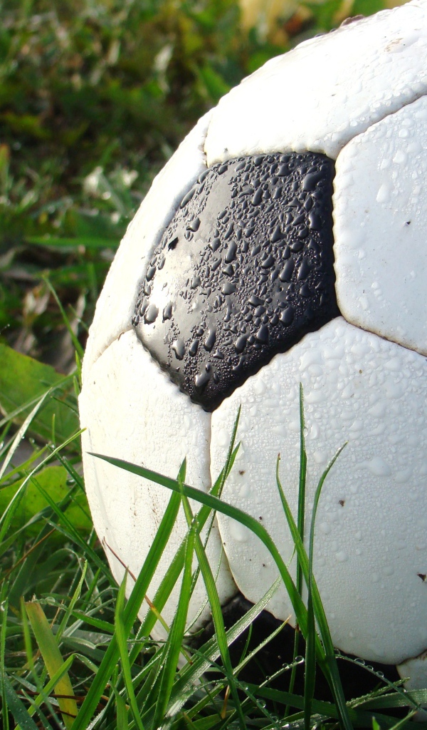 Мокрый футбольный мяч лежит на зеленой траве 