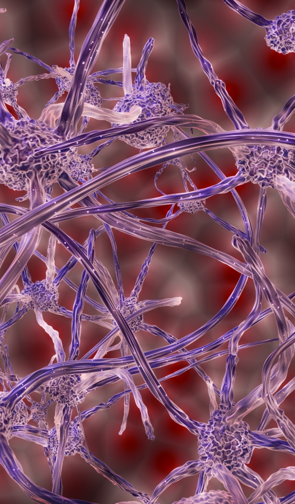 Нервные клетки под микроскопом 3д графика