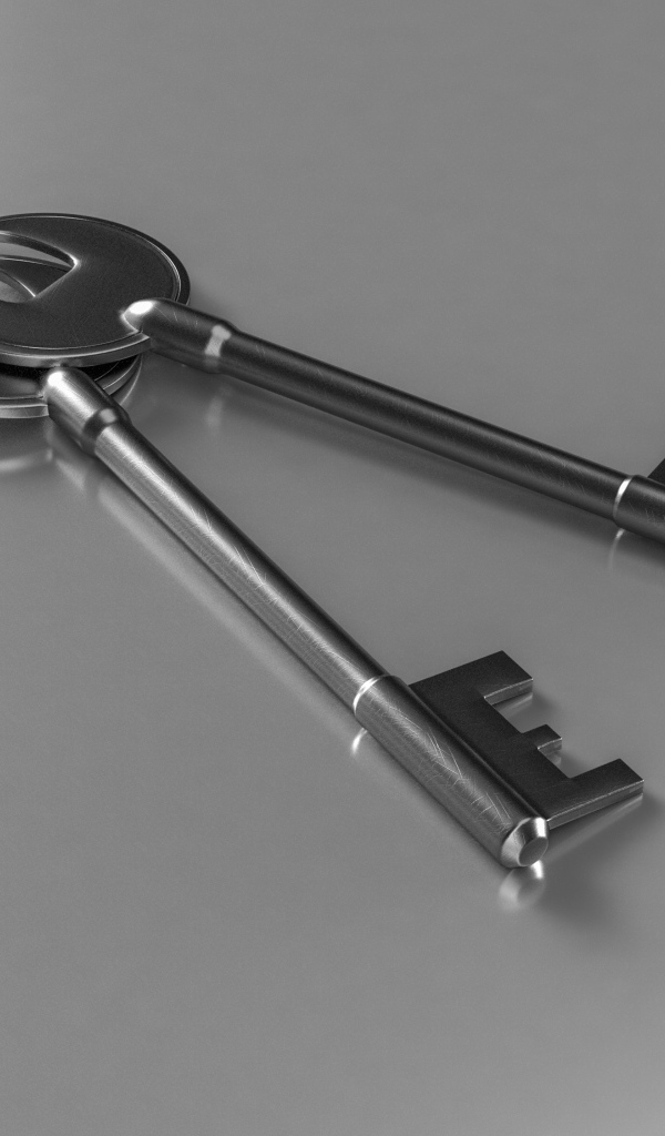 Два ключа на серой поверхности 3д графика