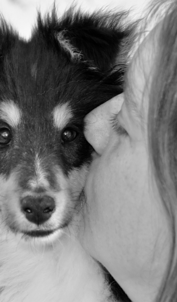 Девушка целует милого щенка 