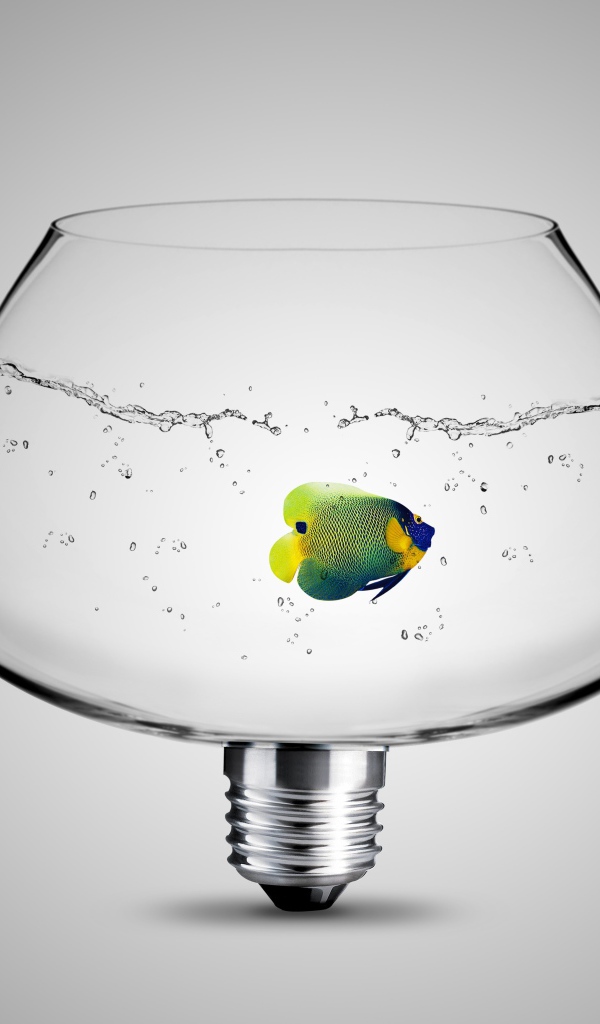 Рыбка в аквариуме лампе на сером фоне