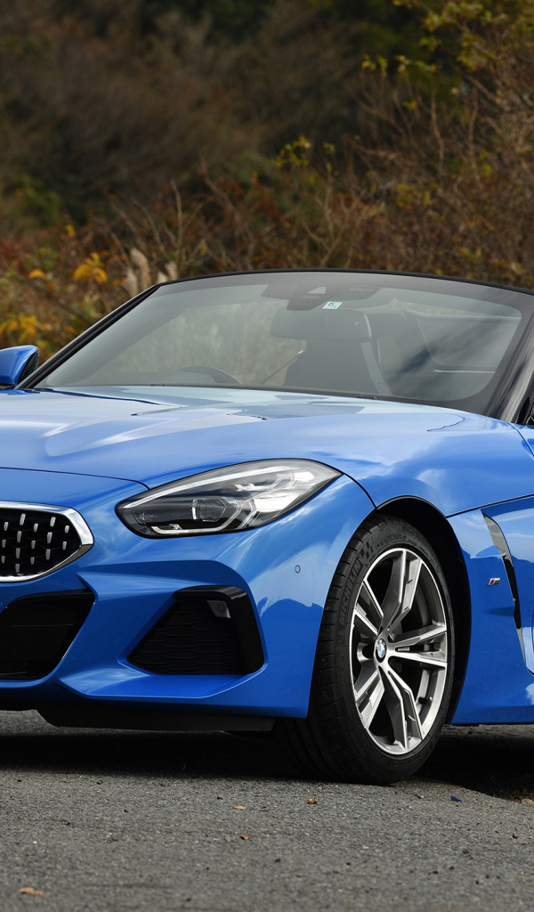 Синий кабриолет  BMW Z4 SDrive20i M Sport
