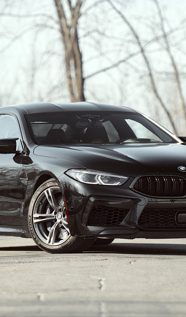 Черный автомобиль BMW M8 в лучах солнца