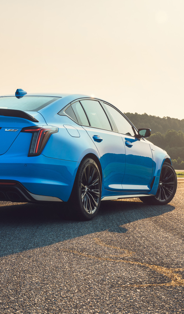 Голубой автомобиль Cadillac CT5-V Blackwing, 2022 года вид сзади