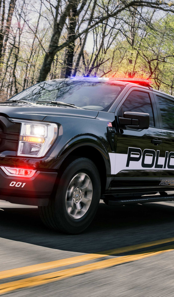 Служебный пикап Ford F-150 , 2021 года на дороге