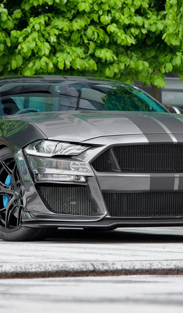 Быстрый дорогой автомобиль Ford Mustang CS850GT 2021 года