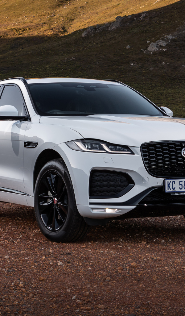Белый внедорожник Jaguar F-Pace D300 R-Dynamic Black Pack 2021 года в горах