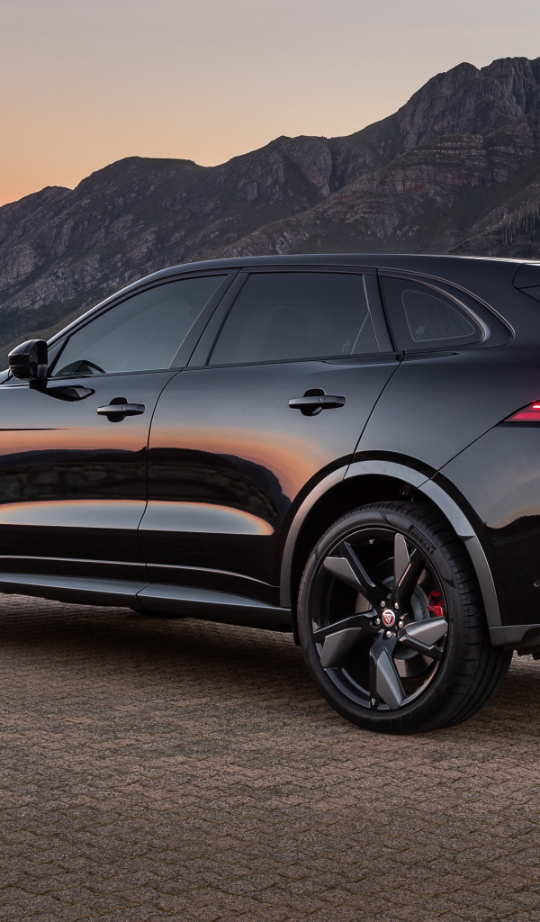 Внедорожник Jaguar F-Pace SVR 2021 года вид сзади