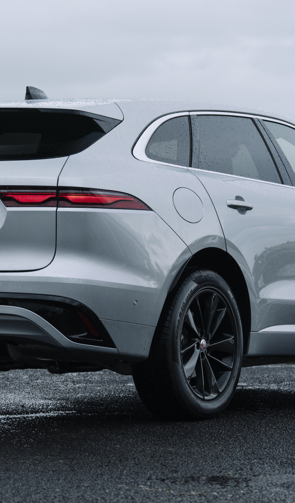 Автомобиль Jaguar F-Pace P250 R-Dynamic, 2021 года вид сзади