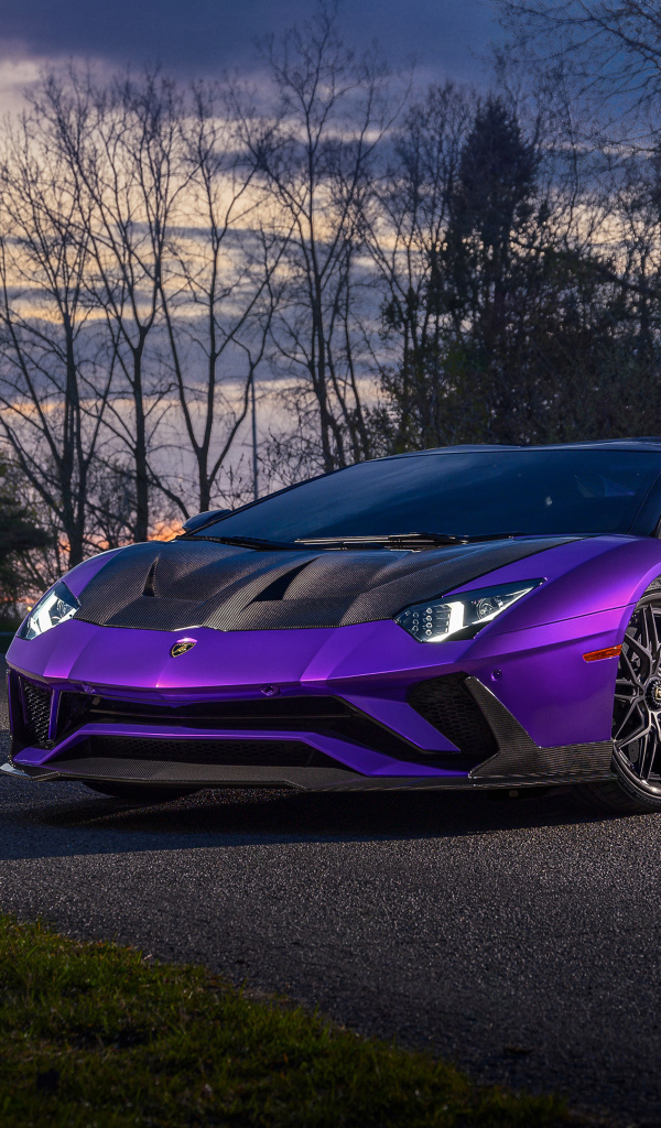 Фиолетовый автомобиль Lamborghini Aventador на дороге