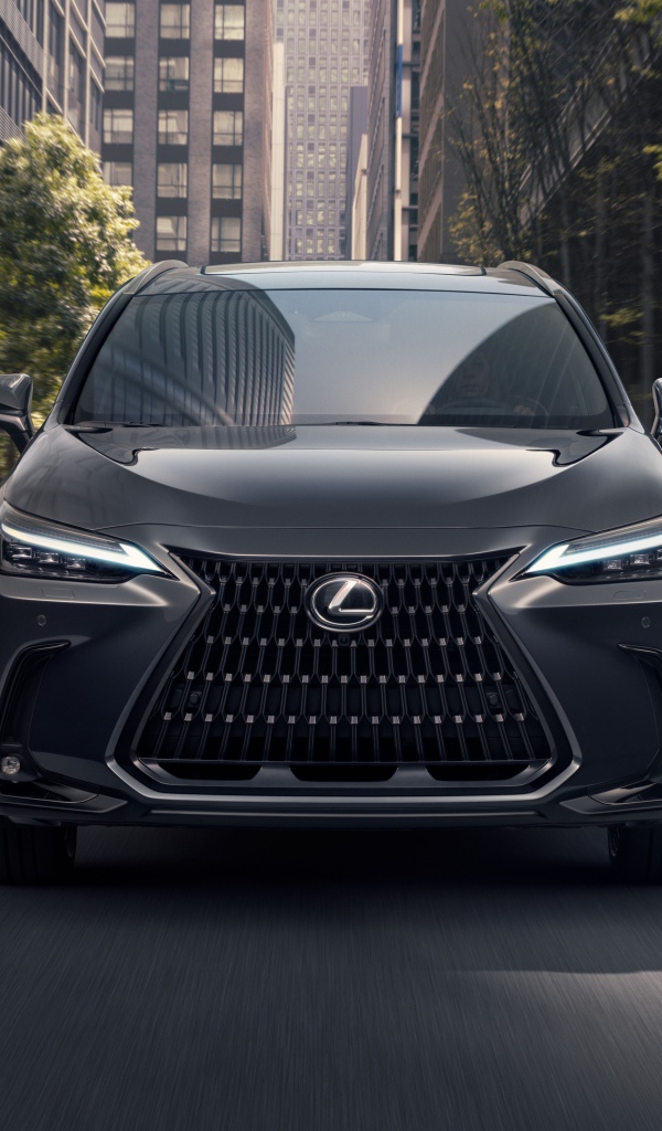 Автомобиль Lexus NX 400h 2021 года вид спереди