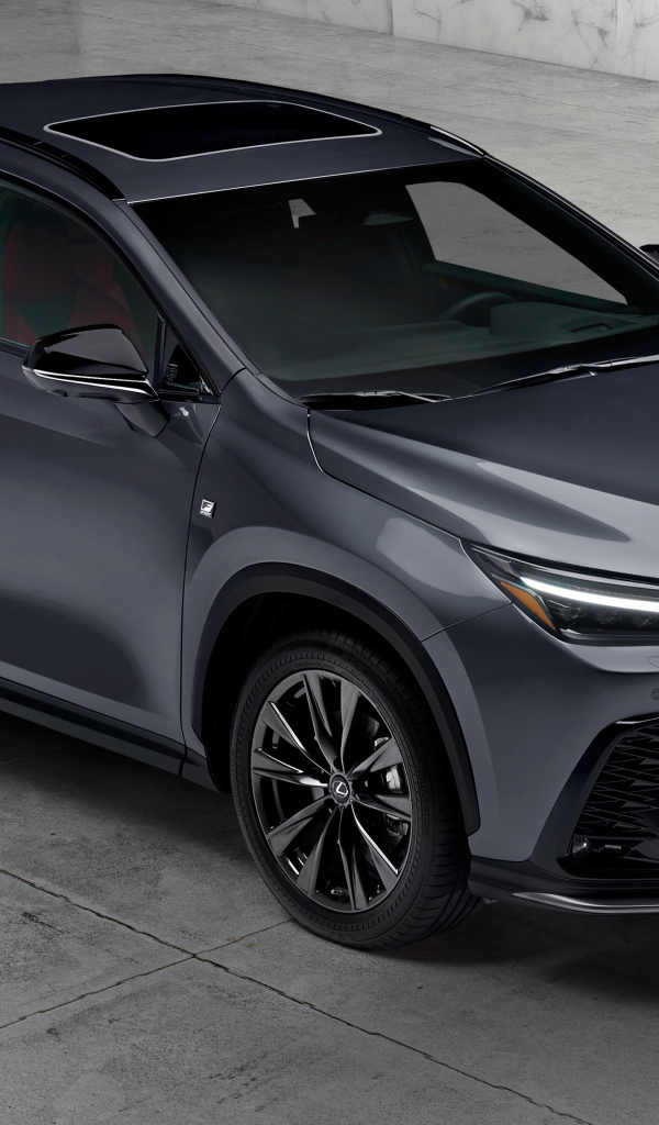 Кроссовер Lexus NX 450h+ F SPORT 2021 года