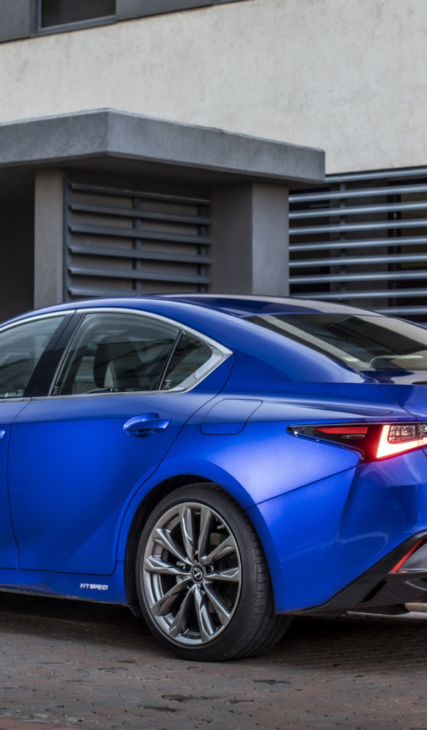 Синий автомобиль Lexus IS 300h F SPORT, 2022 года вид сзади