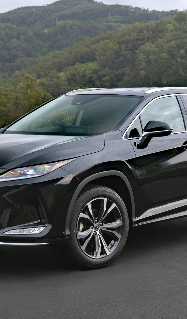 Стильный черный автомобиль Lexus RX 300 Crafted Edition 2021 года