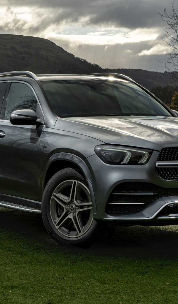 Silver car Mercedes-Benz GLE 350 De 4MATIC AMG Line on the grass
