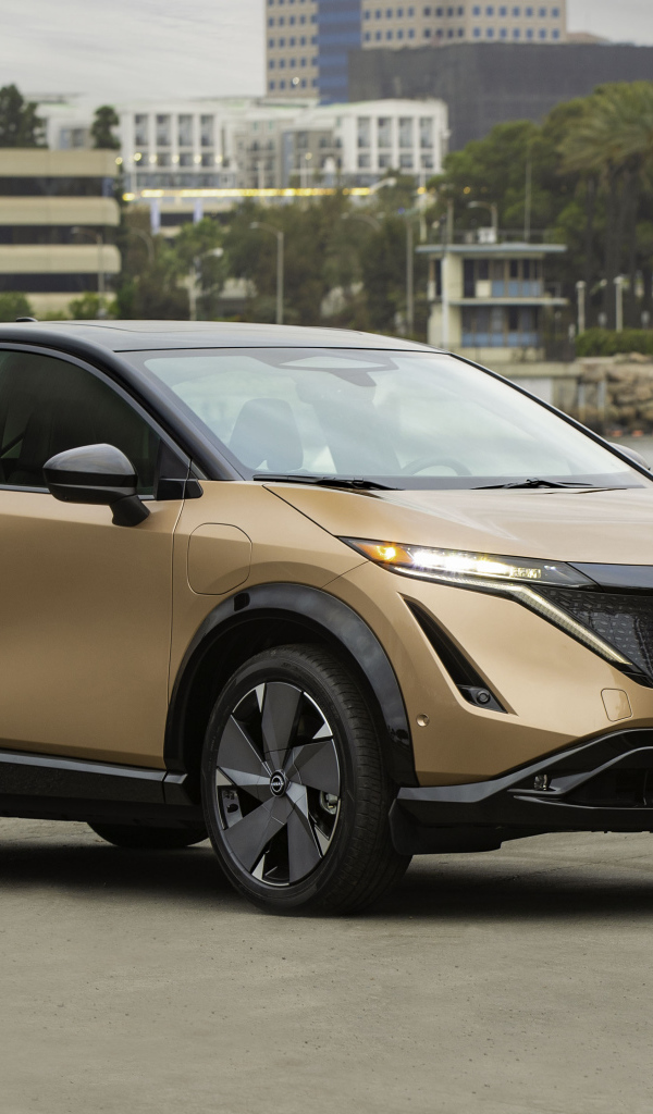 Коричневый автомобиль Nissan Ariya SL E-4orce, 2021 года у воды