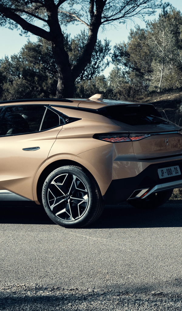 Автомобиль DS 4 Cross 2021  года вид сзади