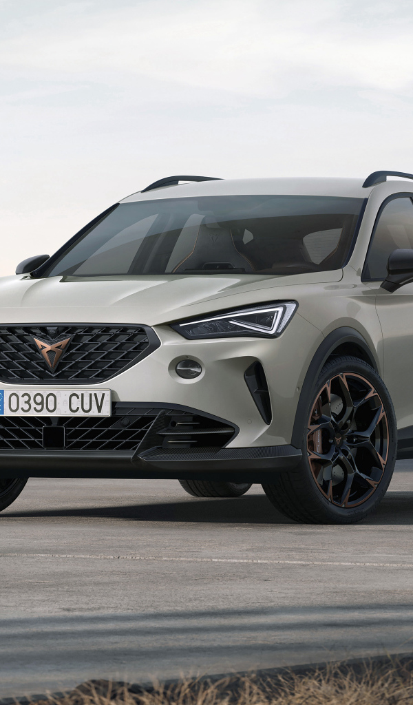 Внедорожник cupra formentor vz5,  2021 года