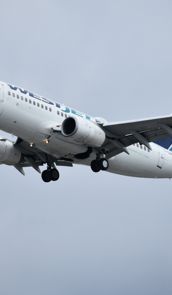 Пассажирский Boeing 737 авиакомпании  WestJet в небе 