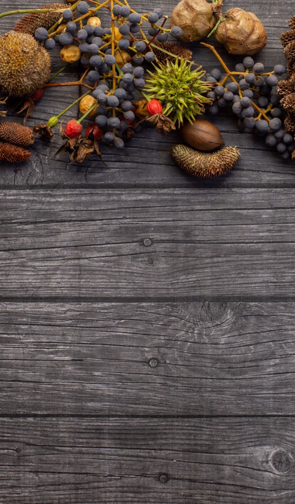 Ягоды с шишками на деревянном фоне 