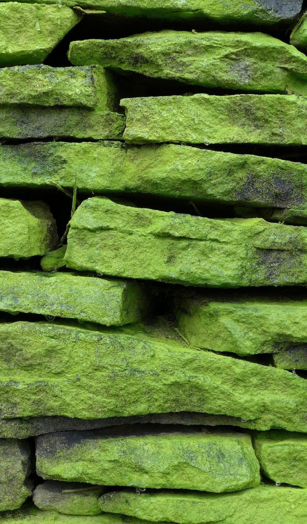 Зеленые покрытые мхом камни на стене, фон 