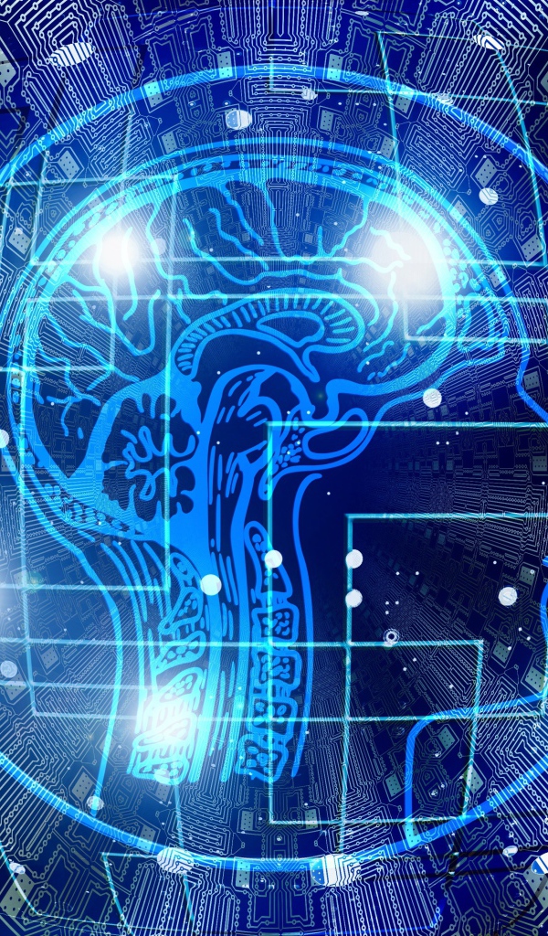 Искусственный интеллект во всемирной паутине