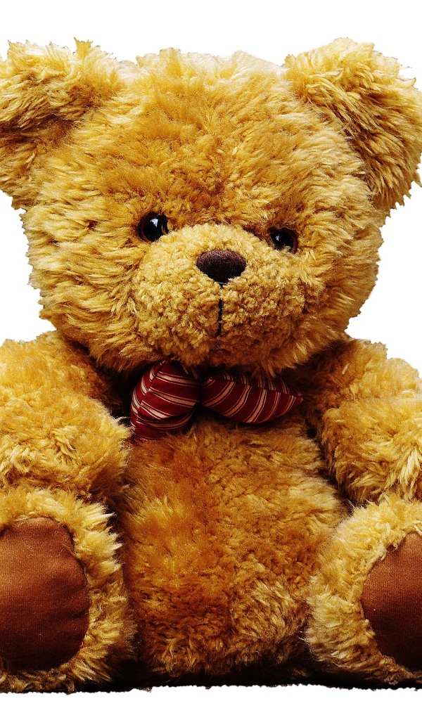 Большой плюшевый медведь на белом фоне